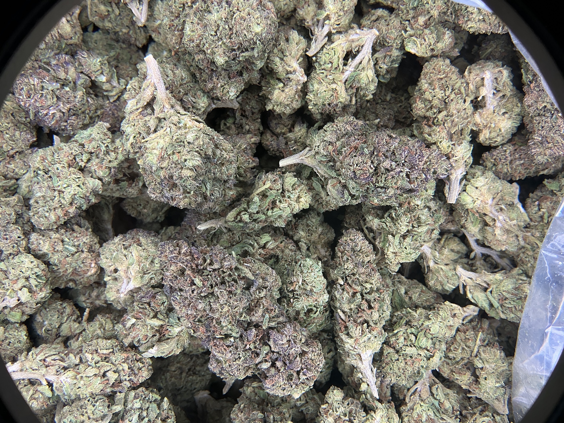 Rainbow Belts THCa Flower (Indoor) / 3.5 Grams (1/8)